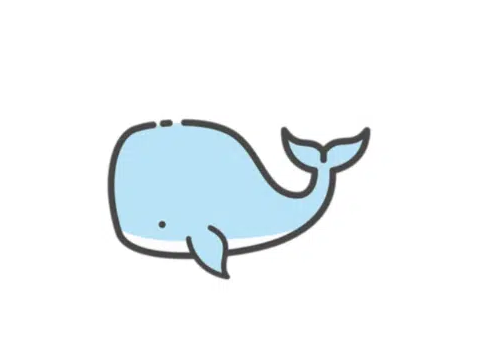 白鲸加速器评测-白鲸加速器破解版永久免费安卓iOS官网下载